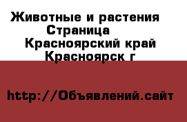  Животные и растения - Страница 17 . Красноярский край,Красноярск г.